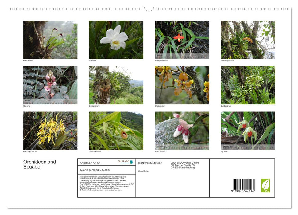 Orchideenland Ecuador (CALVENDO Premium Wandkalender 2025)