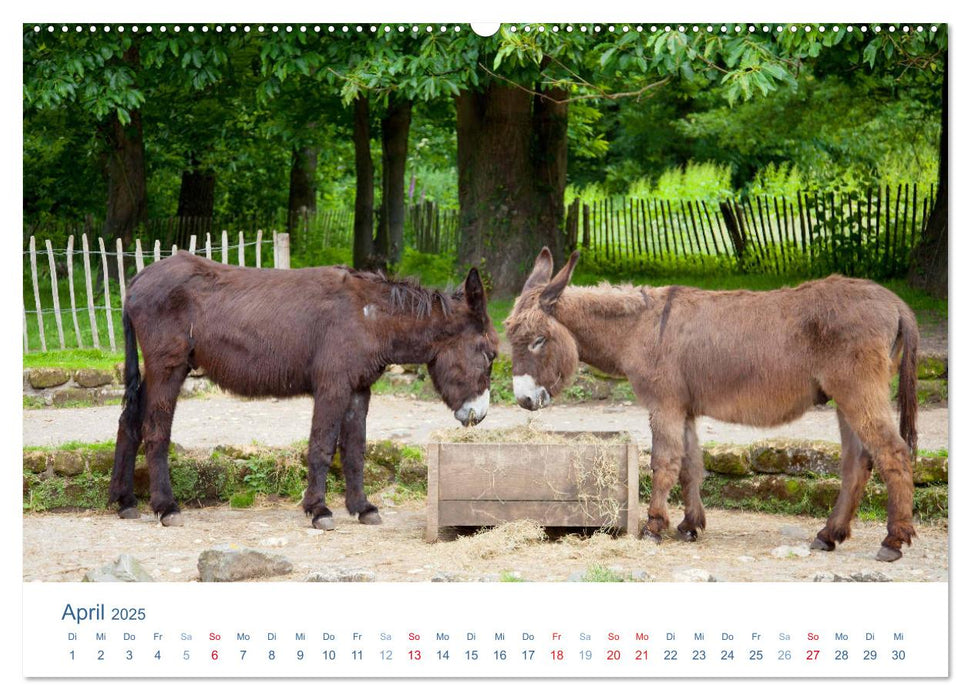 Tierisches Leben auf dem Bauernhof 2025 (CALVENDO Wandkalender 2025)