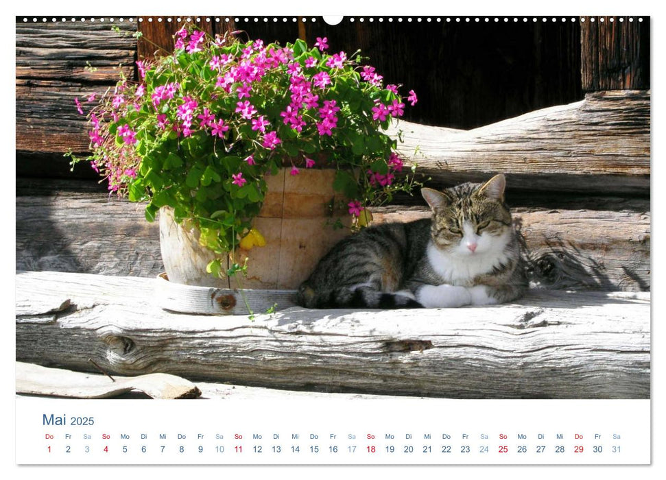 Tierisches Leben auf dem Bauernhof 2025 (CALVENDO Wandkalender 2025)