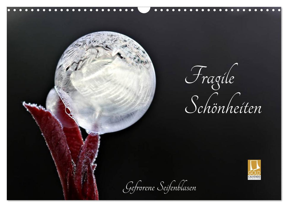 Fragile Schönheiten - Gefrorene Seifenblasen (CALVENDO Wandkalender 2025)