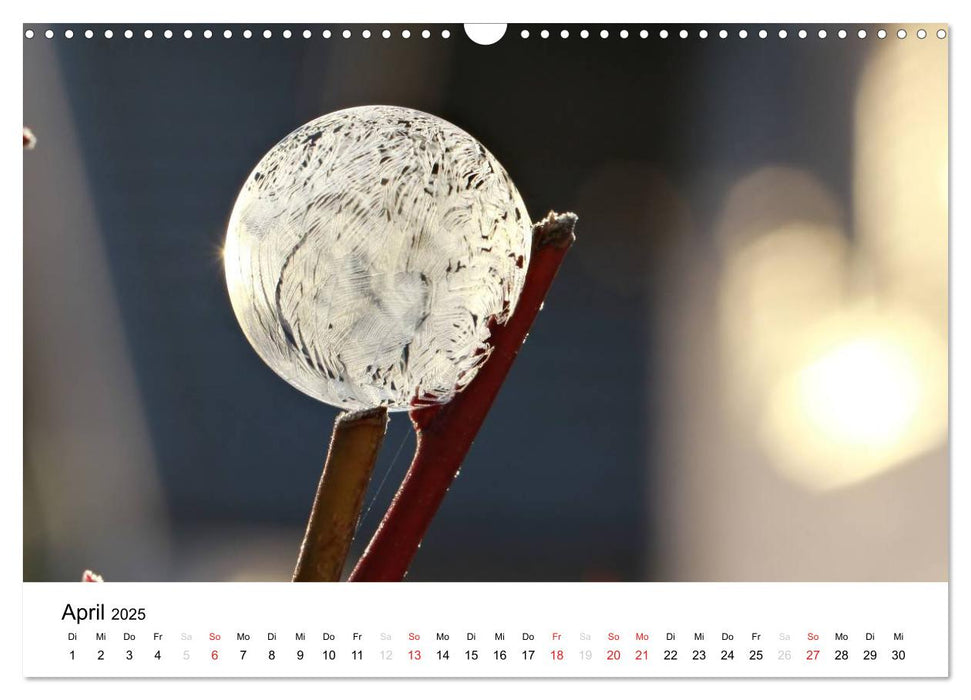 Fragile Schönheiten - Gefrorene Seifenblasen (CALVENDO Wandkalender 2025)