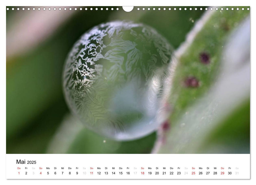 Fragile Schönheiten - Gefrorene Seifenblasen (CALVENDO Wandkalender 2025)