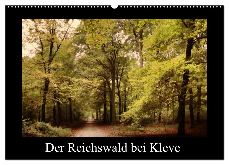 Der Reichswald bei Kleve (CALVENDO Wandkalender 2025)