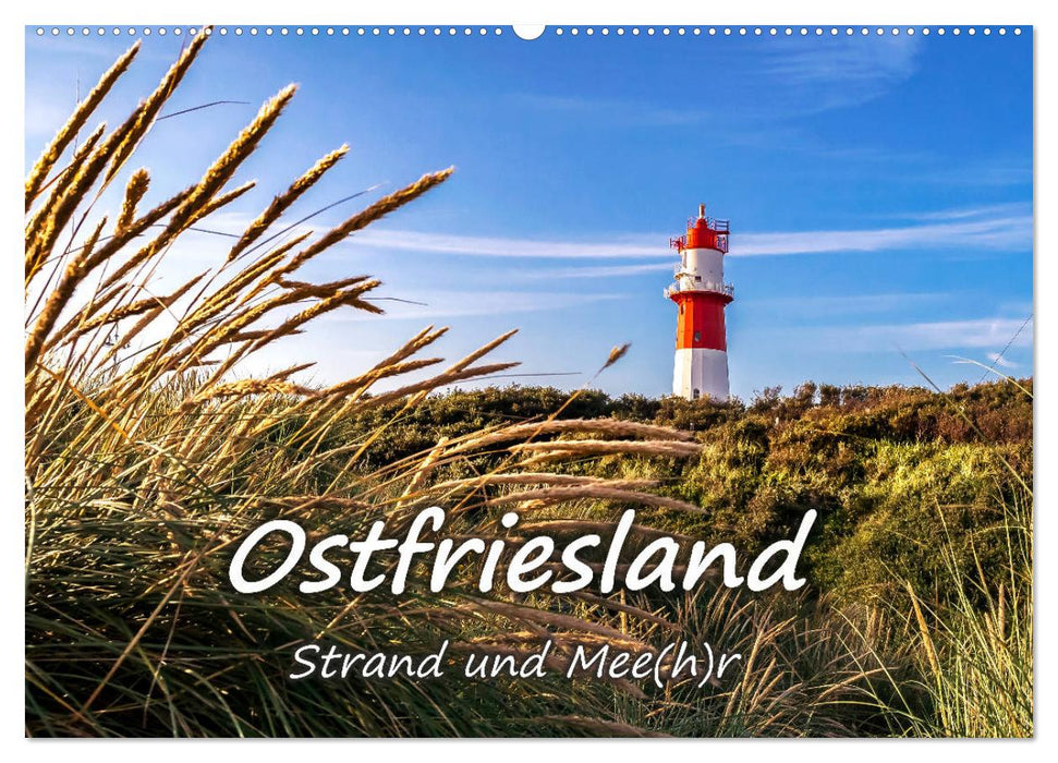 OSTFRIESLAND Strand und Mee(h)r (CALVENDO Wandkalender 2025)