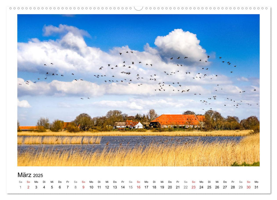 OSTFRIESLAND Strand und Mee(h)r (CALVENDO Wandkalender 2025)