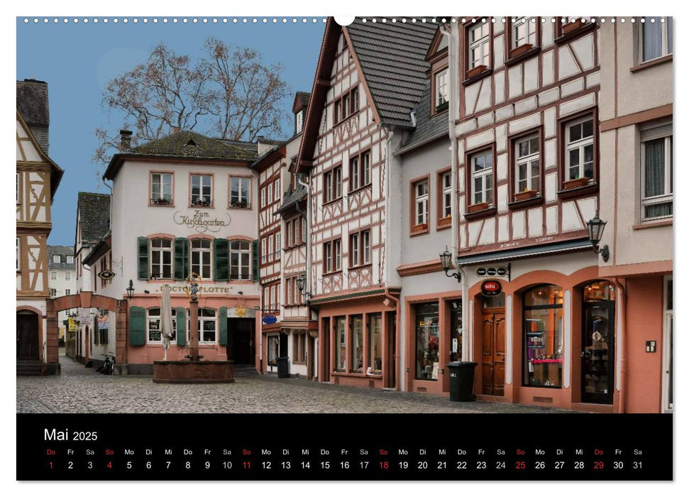 Mainz - Ansichtssache (CALVENDO Wandkalender 2025)