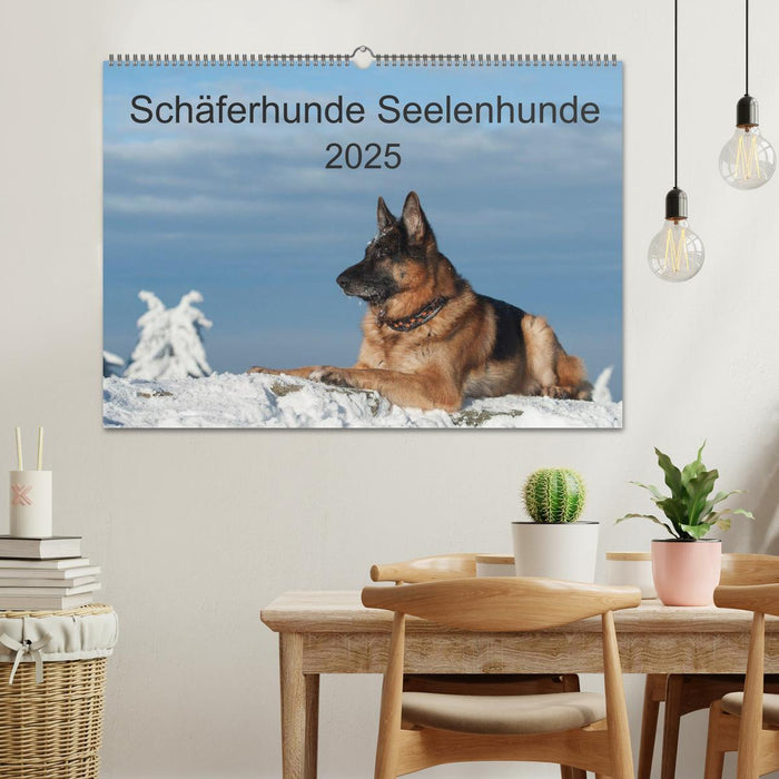 Schäferhunde Seelenhunde (CALVENDO Wandkalender 2025)