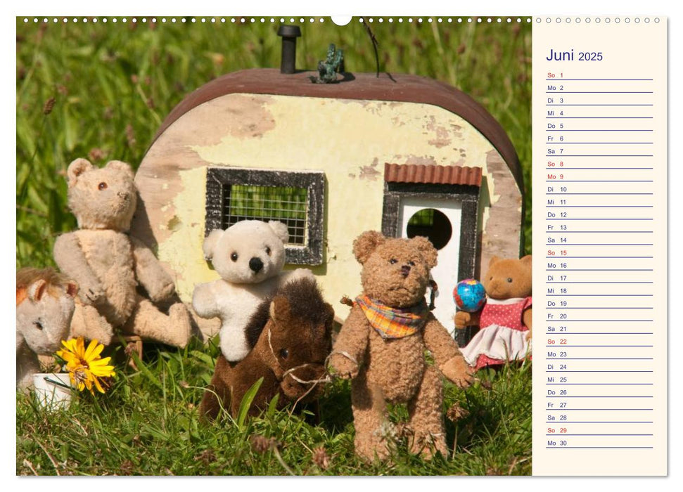 Geliebte Bären - Teddys (CALVENDO Premium Wandkalender 2025)