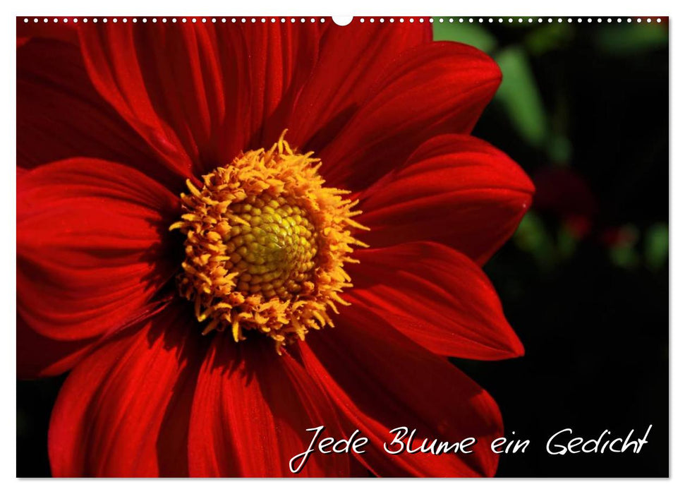 Jede Blume ein Gedicht (CALVENDO Wandkalender 2025)