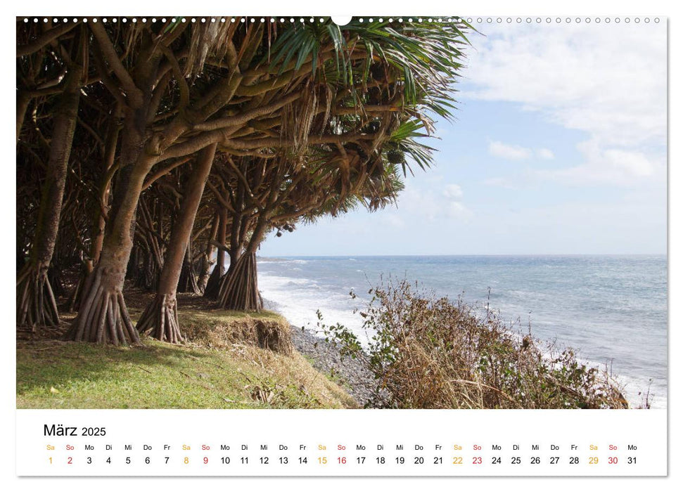 La Réunion - Auf der Insel der Gefühle (CALVENDO Wandkalender 2025)