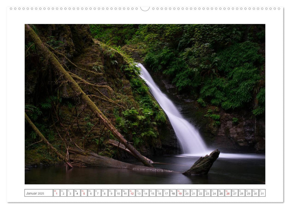 Vancouver Island (CALVENDO Wandkalender 2025)