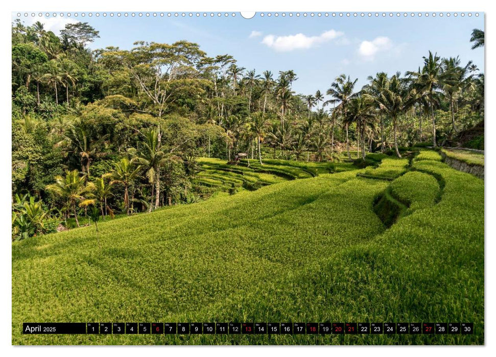 Ubud - Bali (CALVENDO Wandkalender 2025)