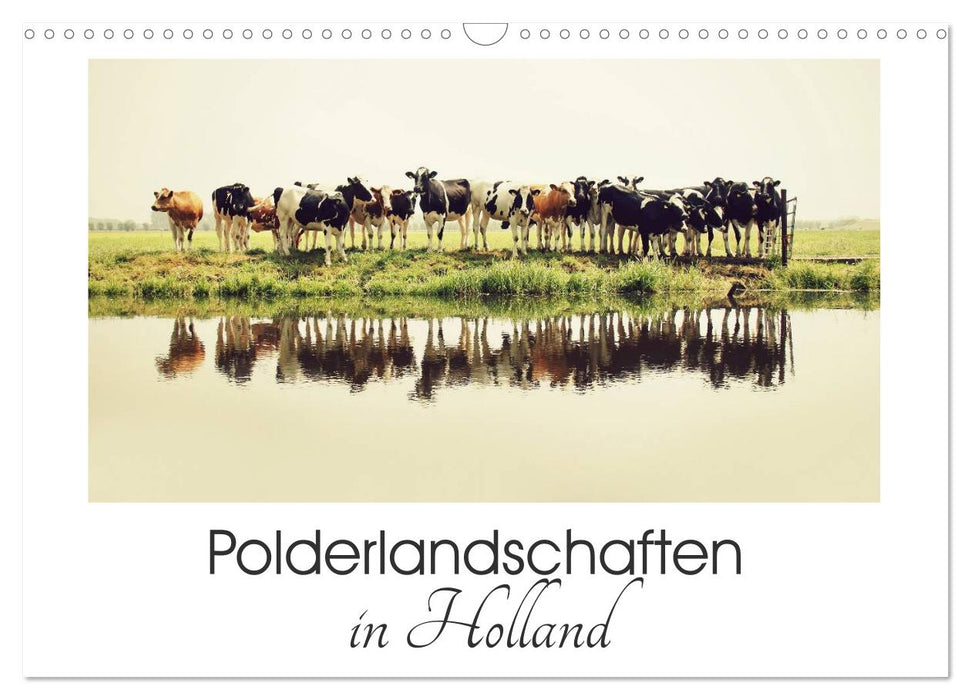 Polderlandschaften in Holland (CALVENDO Wandkalender 2025)