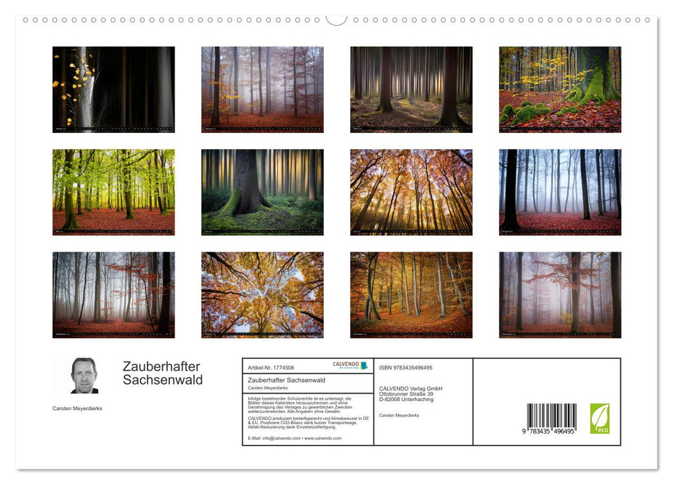 Zauberhafter Sachsenwald (CALVENDO Premium Wandkalender 2025)