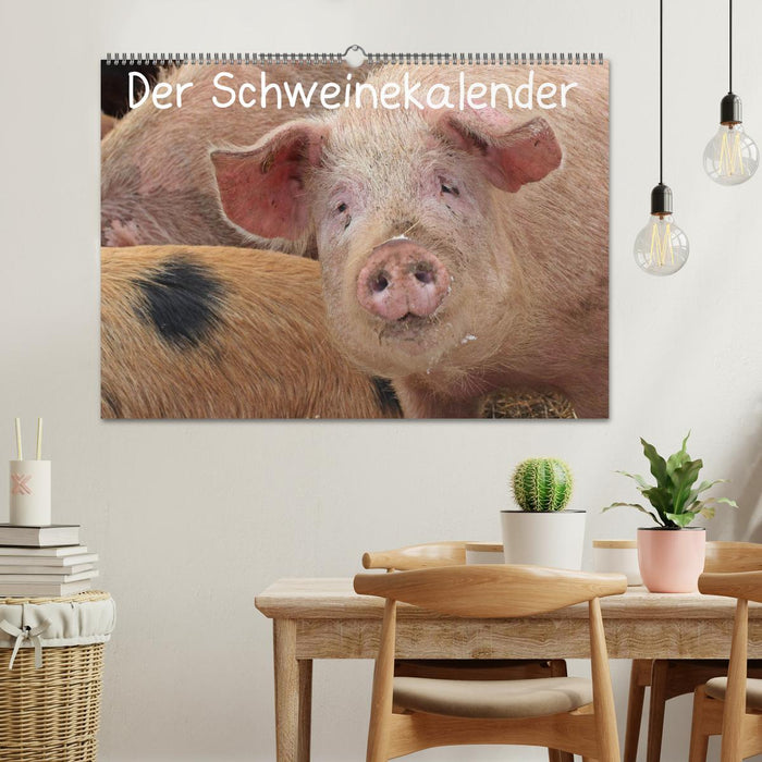 Der Schweinekalender (CALVENDO Wandkalender 2025)