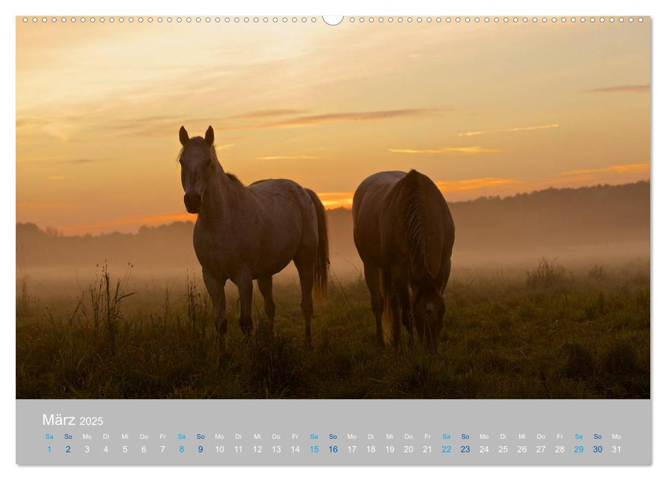 Naturpark am Stettiner Haff (CALVENDO Premium Wandkalender 2025)