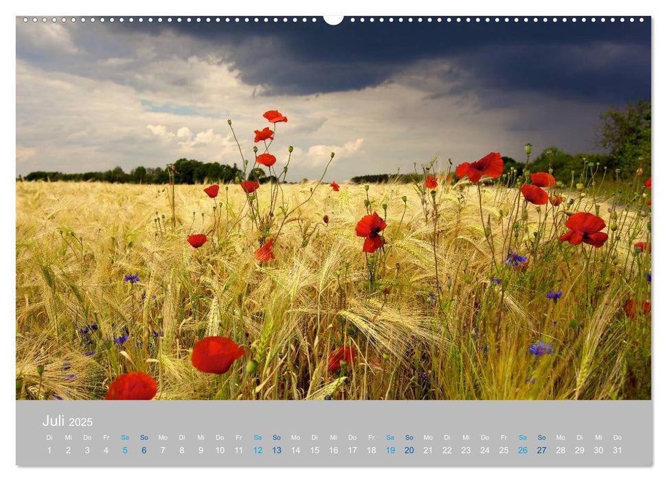 Naturpark am Stettiner Haff (CALVENDO Premium Wandkalender 2025)