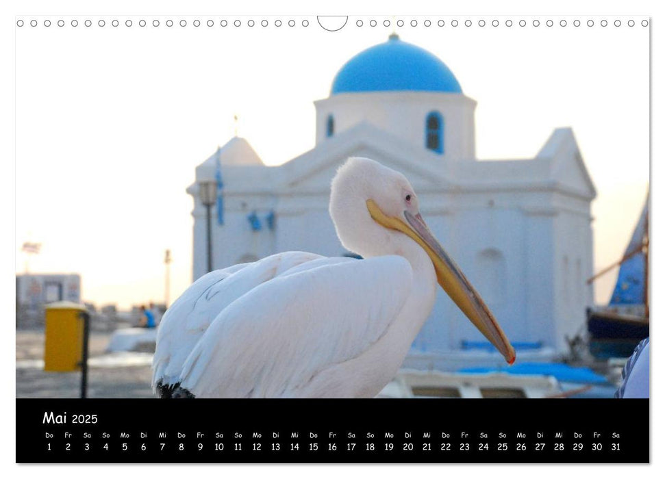 Mykonos - Stille Ecken (CALVENDO Wandkalender 2025)