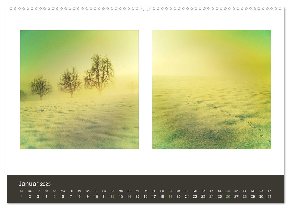 NATUR im Doppel 2025 (CALVENDO Premium Wandkalender 2025)