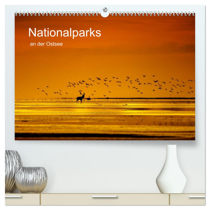 Nationalparks an der Ostsee (CALVENDO Premium Wandkalender 2025)