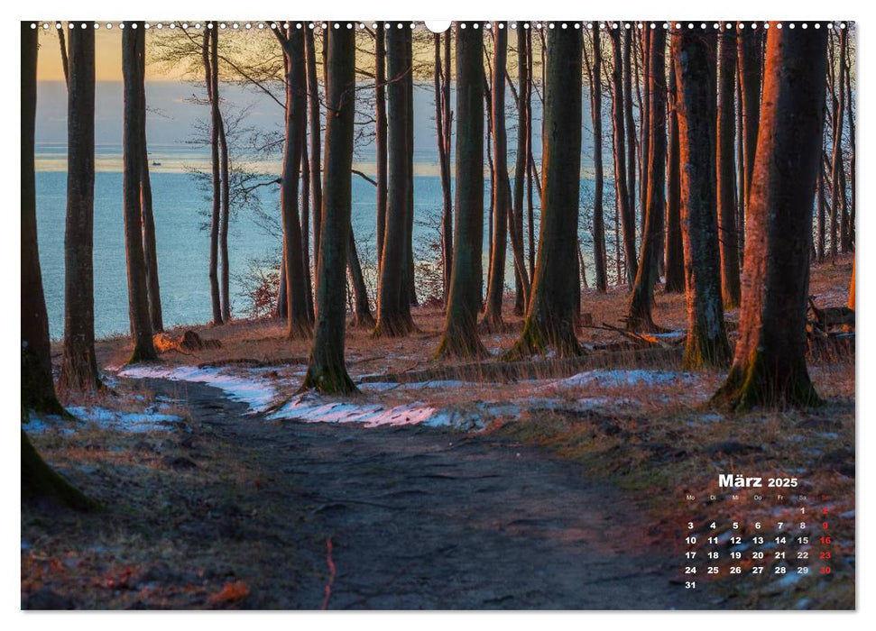 Nationalparks an der Ostsee (CALVENDO Premium Wandkalender 2025)