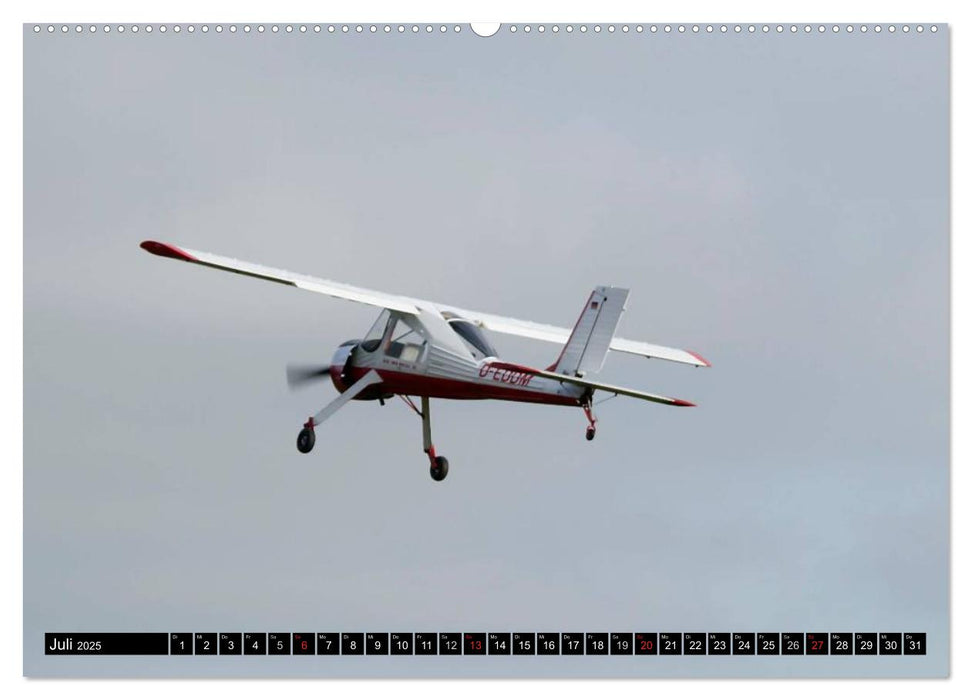 Modellflugzeuge über Friedrichshafen (CALVENDO Premium Wandkalender 2025)