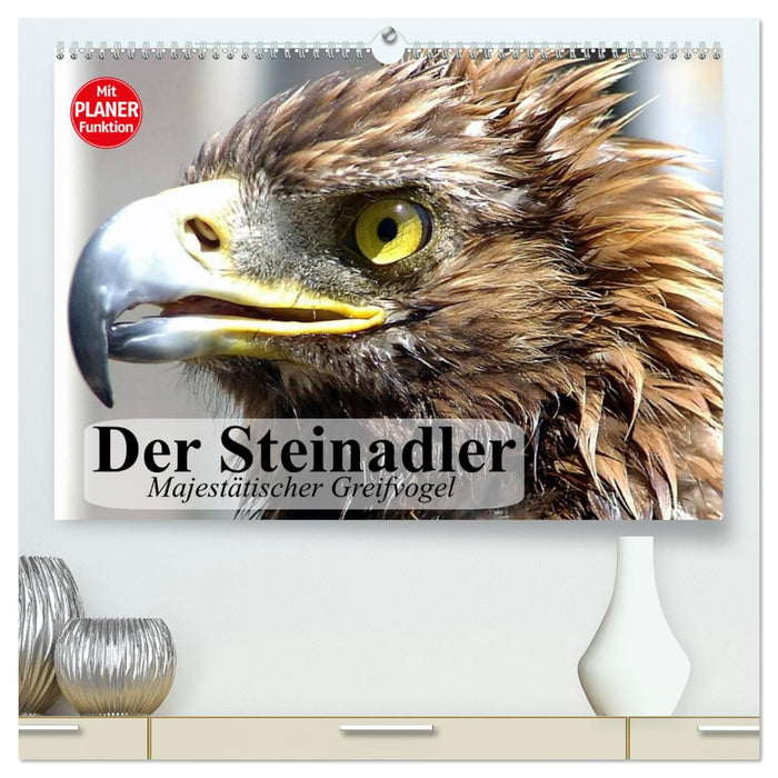 Der Steinadler. Majestätischer Greifvogel (CALVENDO Premium Wandkalender 2025)