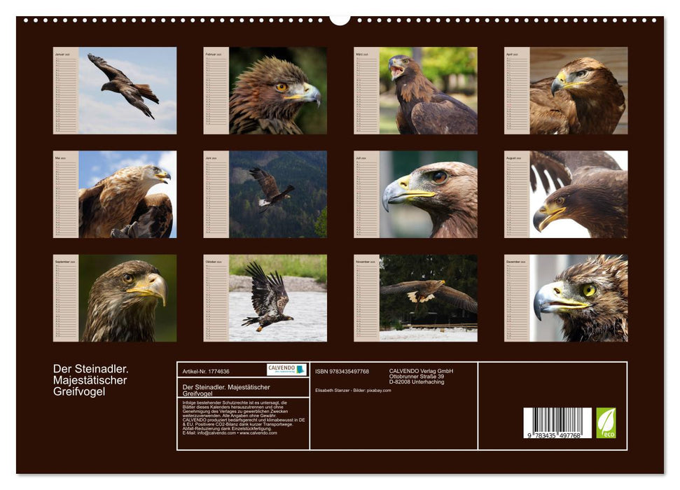 Der Steinadler. Majestätischer Greifvogel (CALVENDO Premium Wandkalender 2025)