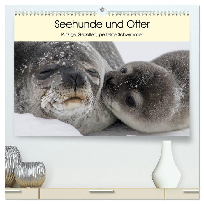 Seehunde und Otter. Putzige Gesellen, perfekte Schwimmer (CALVENDO Premium Wandkalender 2025)