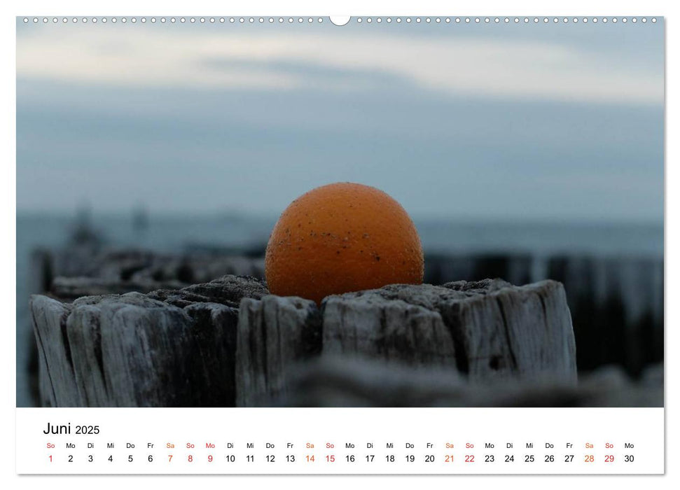 Wieder an der Nordsee (CALVENDO Premium Wandkalender 2025)