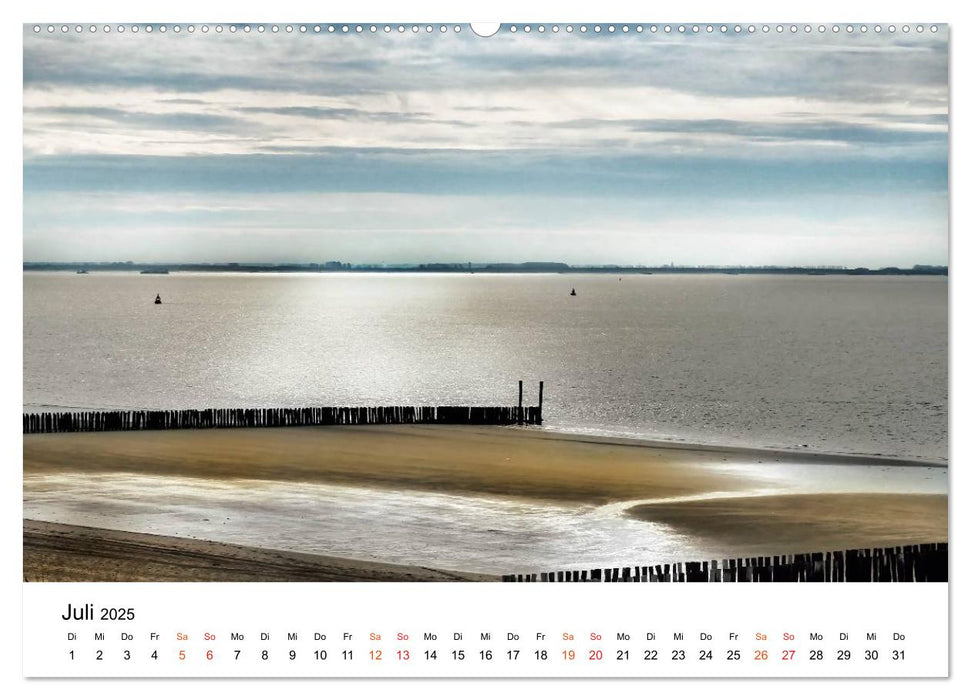 Wieder an der Nordsee (CALVENDO Premium Wandkalender 2025)