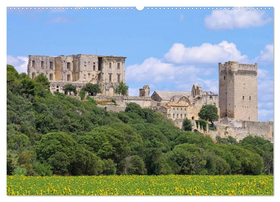 Provence (CALVENDO Premium Wandkalender 2025)