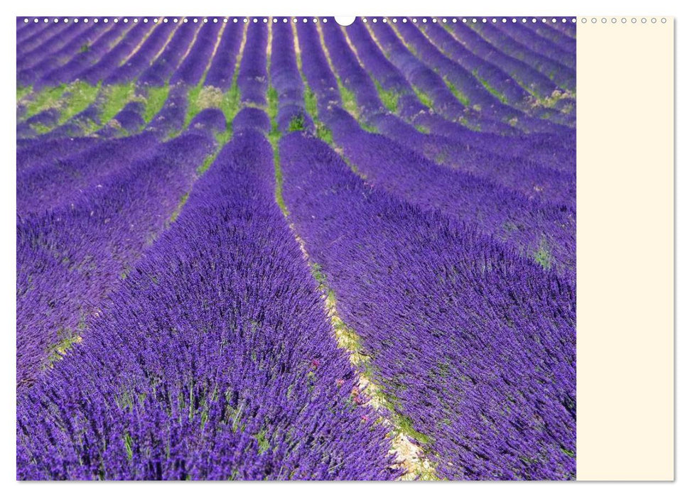 Provence (CALVENDO Premium Wandkalender 2025)