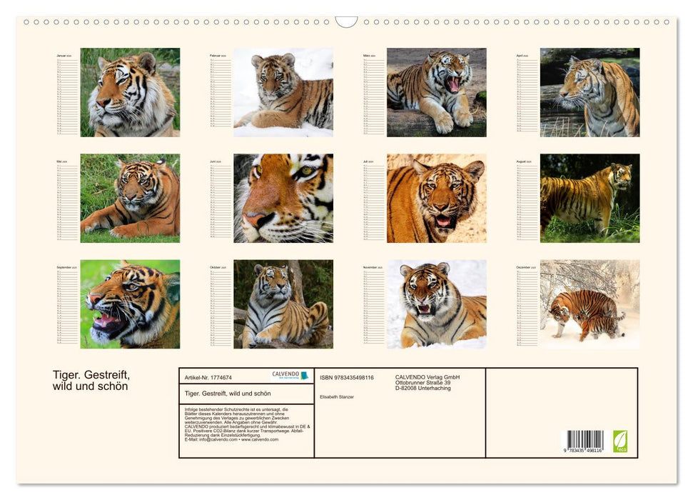 Tiger. Gestreift, wild und schön (CALVENDO Wandkalender 2025)