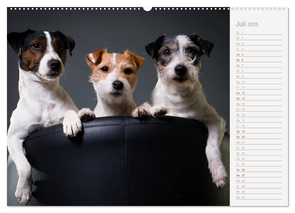 Hundeportraits Eyecatcher-Fotografie (CALVENDO Premium Wandkalender 2025)