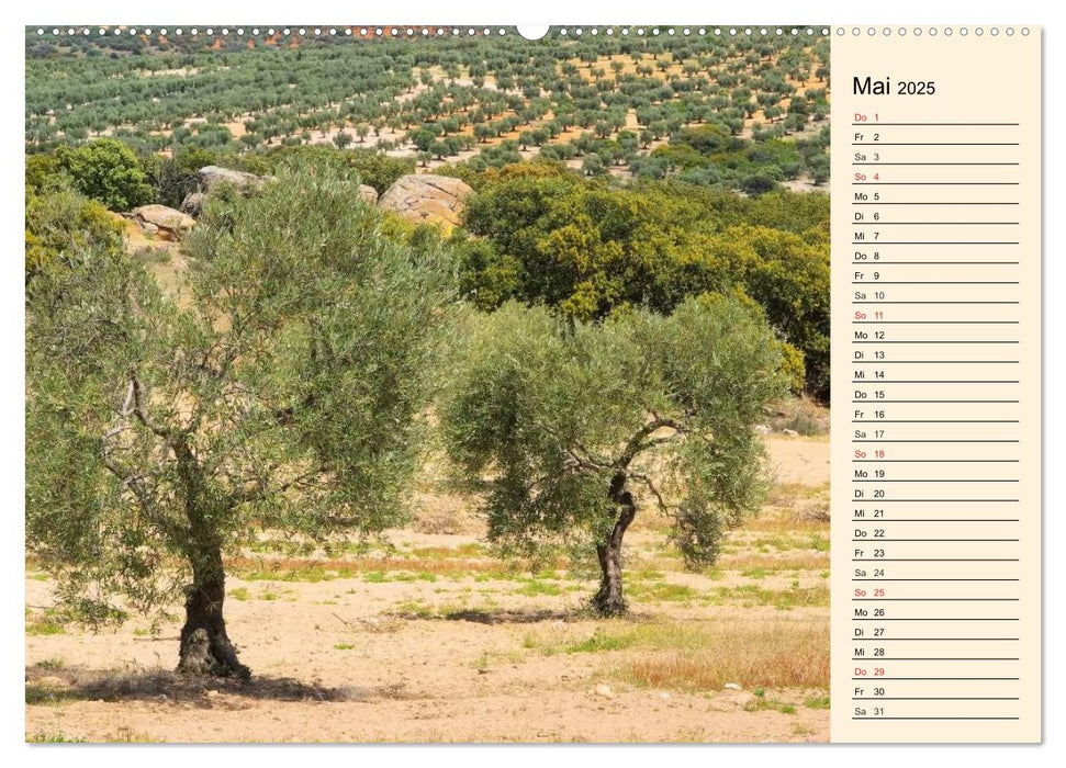 Extremadura - Unbekanntes Spanien (CALVENDO Premium Wandkalender 2025)