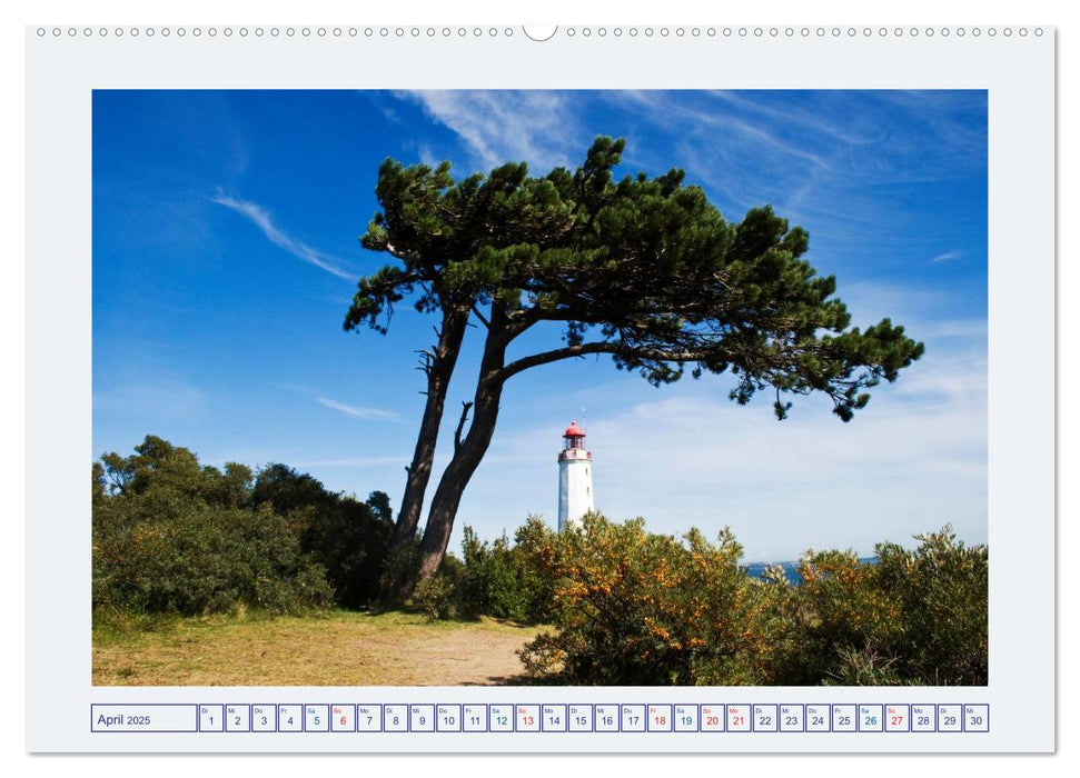 Inselhüpfen entlang der Ostsee (CALVENDO Premium Wandkalender 2025)