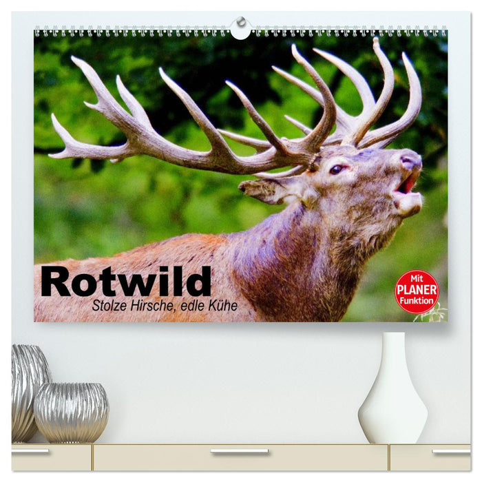 Rotwild. Edle Hirsche, stolze Kühe (CALVENDO Premium Wandkalender 2025)