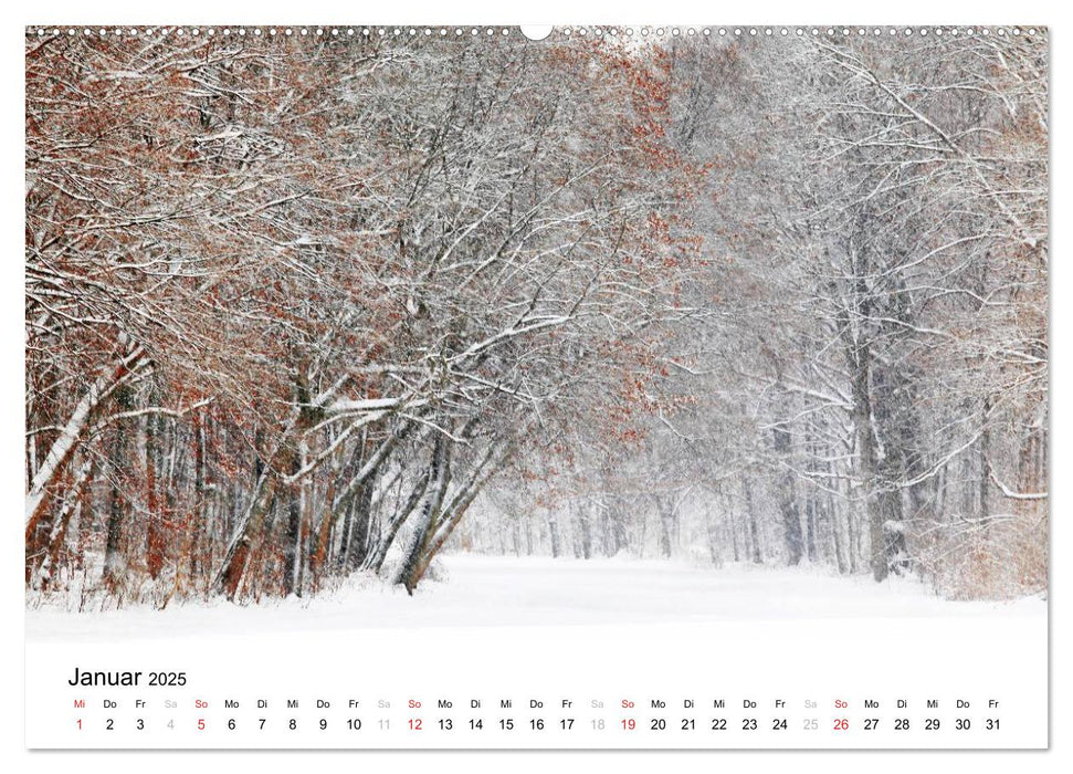 Landschaften FineArt (CALVENDO Premium Wandkalender 2025)