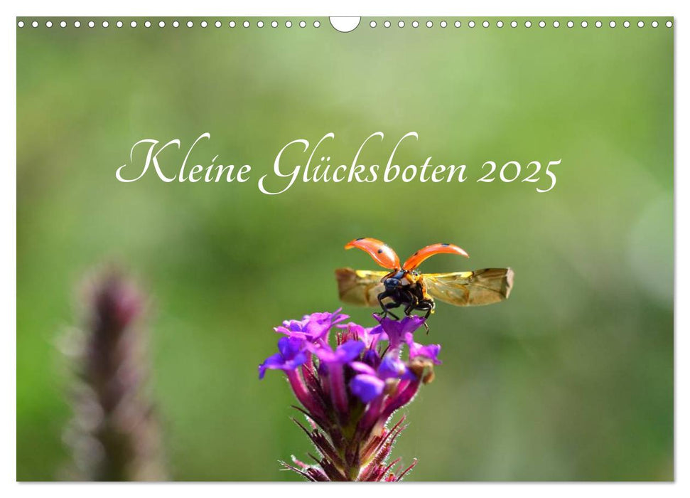 Kleine Glücksboten (CALVENDO Wandkalender 2025)