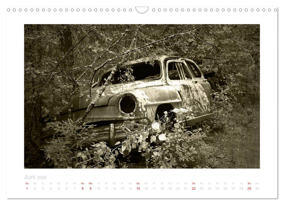 Der Oldtimer - geliebt und vergessen (CALVENDO Wandkalender 2025)