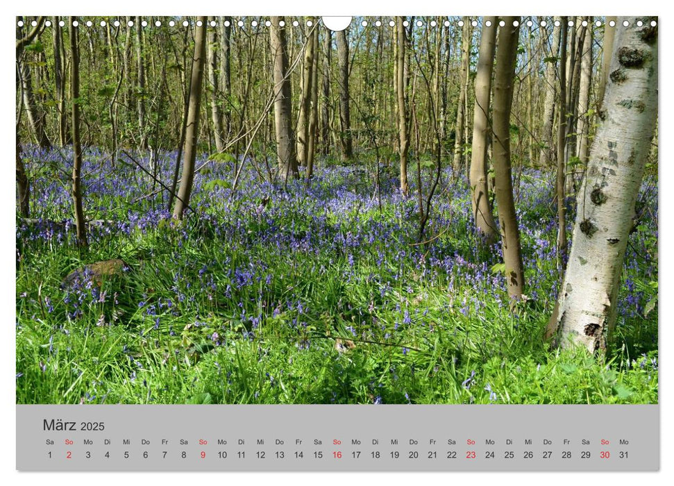 Impressionen von Texel (CALVENDO Wandkalender 2025)