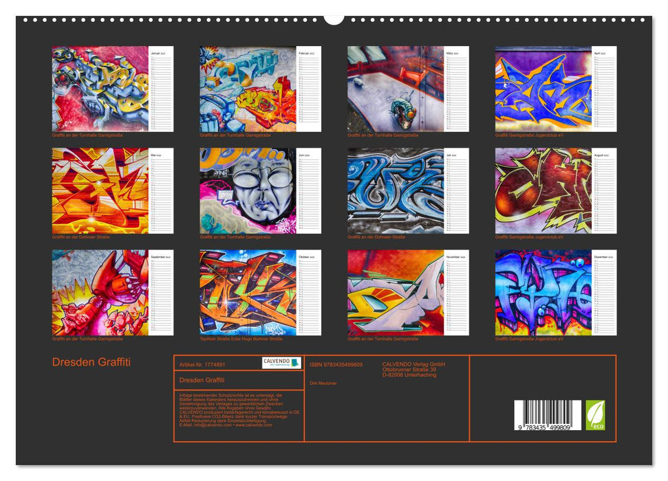 Dresden Graffiti (CALVENDO Premium Wandkalender 2025)