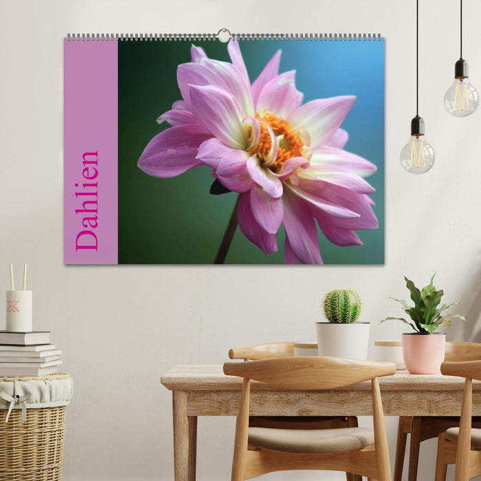 Dahlien (CALVENDO Wandkalender 2025)