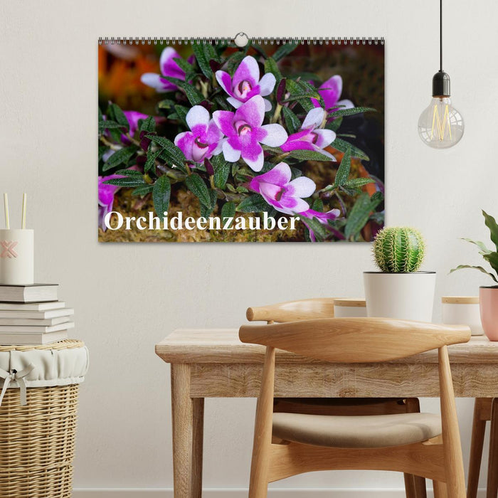 Orchideenzauber (CALVENDO Wandkalender 2025)