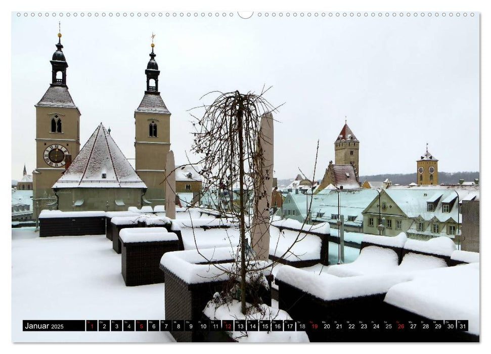 Regensburg erleben (CALVENDO Premium Wandkalender 2025)