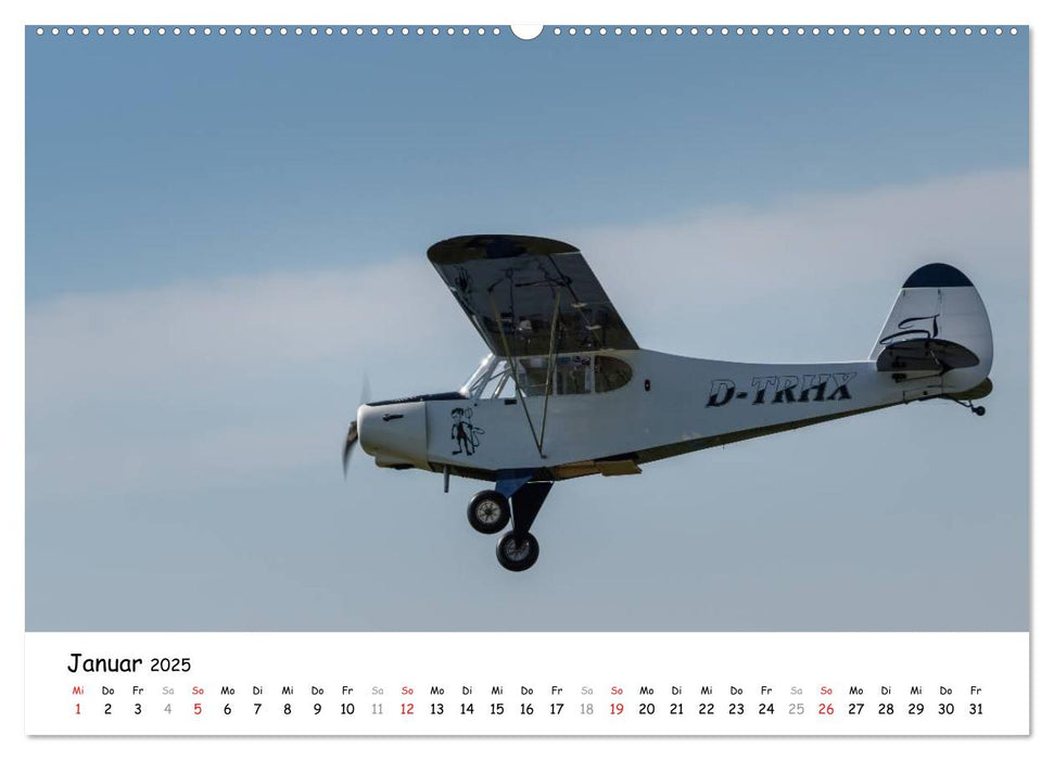 Tollkühne Helden der Fliegerei - Modellflugzeuge in Aktion (CALVENDO Wandkalender 2025)