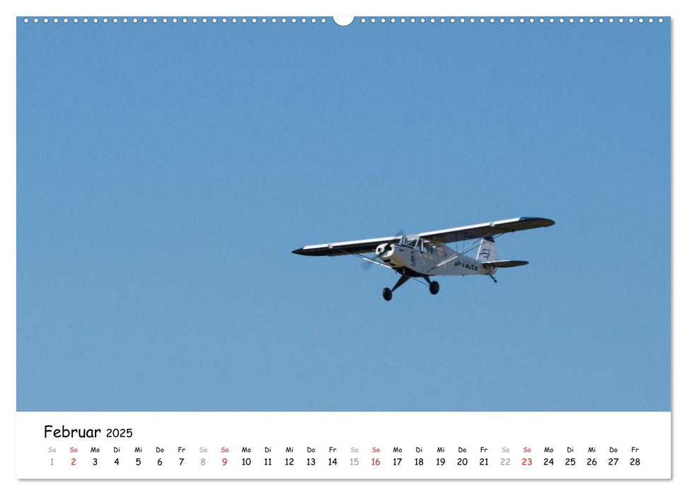 Tollkühne Helden der Fliegerei - Modellflugzeuge in Aktion (CALVENDO Wandkalender 2025)