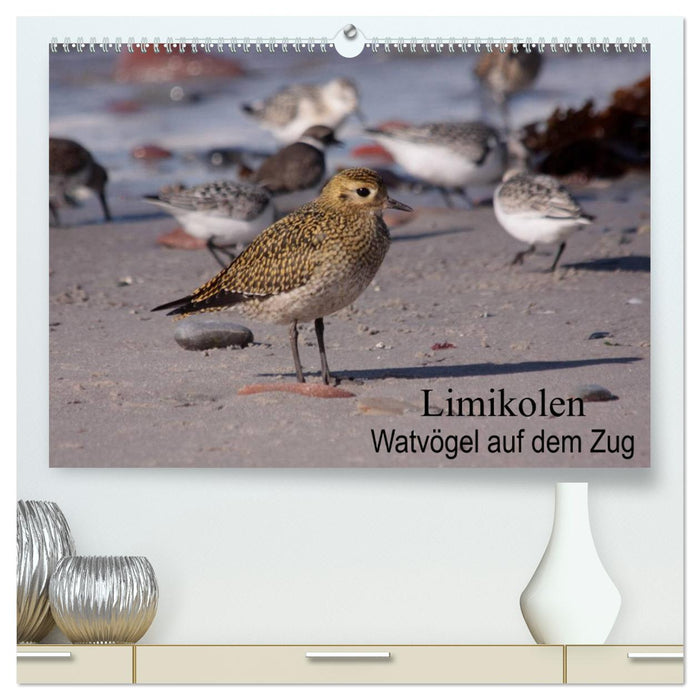 Limikolen Watvögel auf dem Zug (CALVENDO Premium Wandkalender 2025)