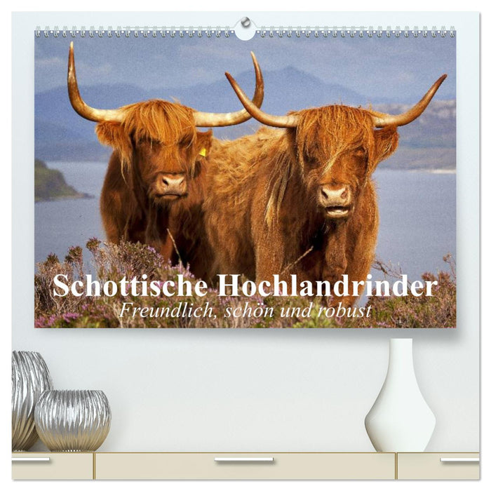 Schottische Hochlandrinder. Freundlich, schön und robust (CALVENDO Premium Wandkalender 2025)